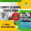 Amazing Carpet Cleaning Services