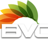 BVC Blinds Cleaning