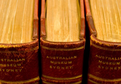 Australian Museum