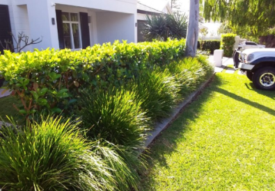 Mitch’s Gardening & Softscapes Pty Ltd