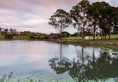 Royal Botanic Garden Sydney