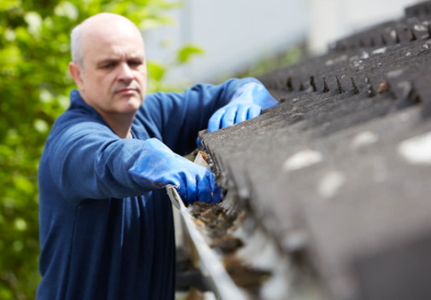 Spotless Gutter Cleaning