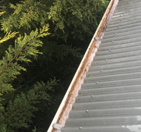 Roof Gutter Cleaning...