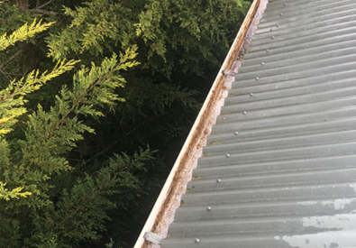 Roof Gutter Cleaning Melbourne