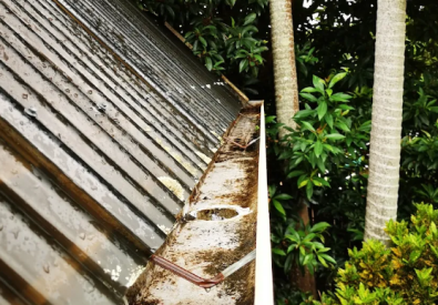 Brisbane Gutter and Solar Cleaning