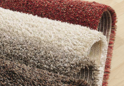 Everdry carpet cleaning