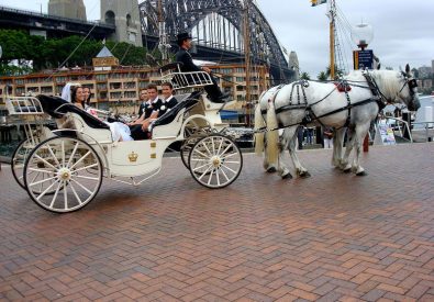 Castlereagh Wedding Carriages