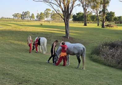 National Equestrian Centre Kerrabee