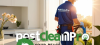 PestClean Pro